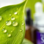 BHA w pielęgnacji skóry tłustej i trądzikowej: działanie, bezpieczne stosowanie i najczęstsze błędy