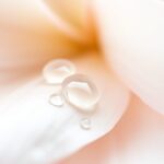 Peeling do cery wrażliwej: jak wybrać i stosować delikatne złuszczanie bez podrażnień